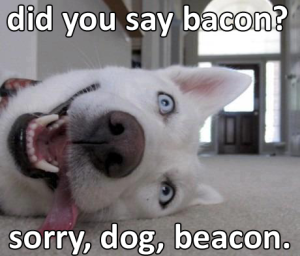 did-you-say-bacon